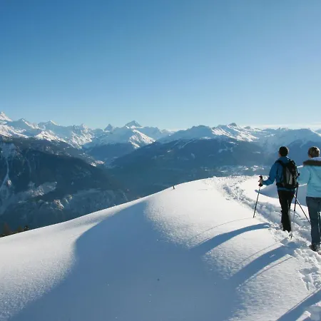 Lejlighed Les Aiguilles Vertes Rez Inferieur By Interhome