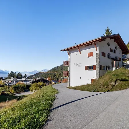 Les Aiguilles Vertes Rez Inferieur By Interhome